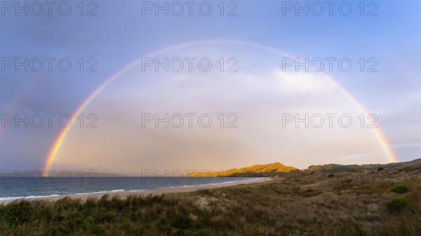 Landscape with sea and sandy beach in New Zealand with rainbow, in the evening at golden hour.