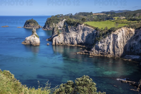Landscape with sea and cliffs in New Zealand. Te Pare Point, Hahei, Coromandel Peninsula, Waikato,