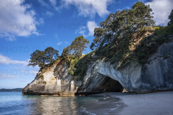Cathedral Cove in New Zealand with ocean, sandy beach and limestone cliffs. Cathedral Cove, Hahei,