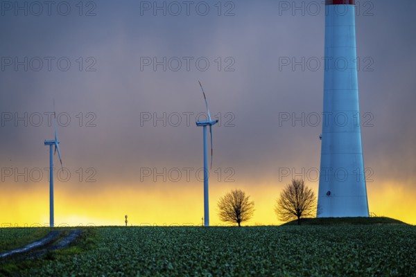 Königshovener Höhe onshore wind farm, on the A44 motorway near Bedburg, in front of the Jackerath