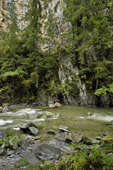Diosaz mountain river in the gorge, Gorges de la Diosaz, Les Houches, Chamonix-Mont-Blanc,