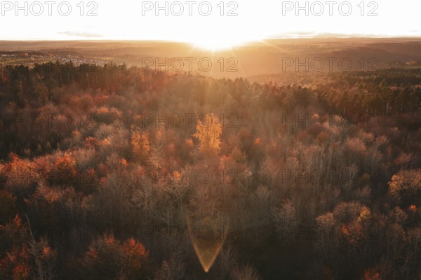 Autumn forest landscape under an intense sunset that bathes the forest in orange light, Calw