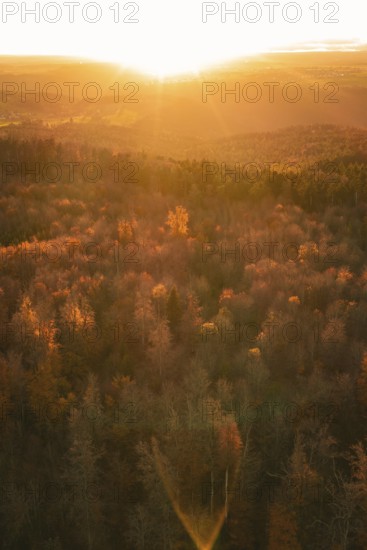 Autumn forest illuminated by a warm sunset that creates an orange atmosphere, Calw district,