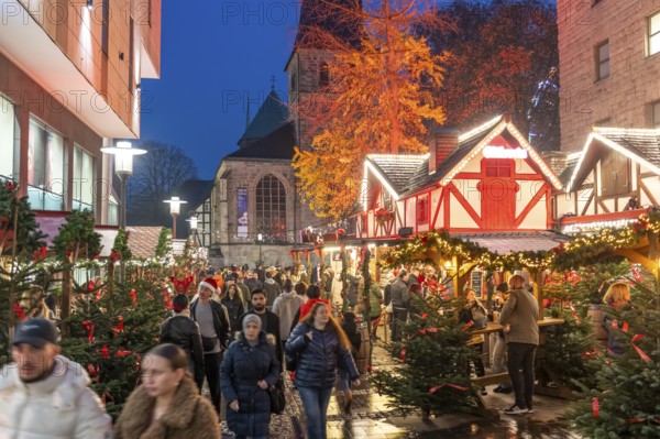 Christmas market in Essen, gastronomy, fire forest, at Essen Cathedral, Kettwiger StraÃŸe shopping