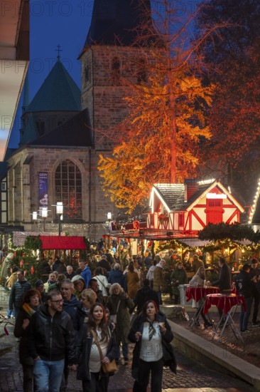 Christmas market in Essen, gastronomy, fire forest, at Essen Cathedral, Kettwiger StraÃŸe shopping