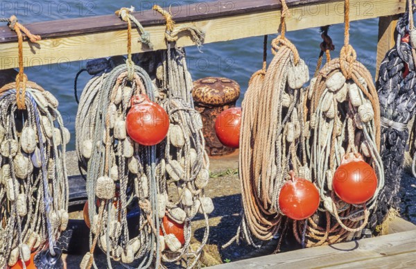 Bundled, rolled up, weathered ropes with floats and red buoys hang on a wooden structure in a