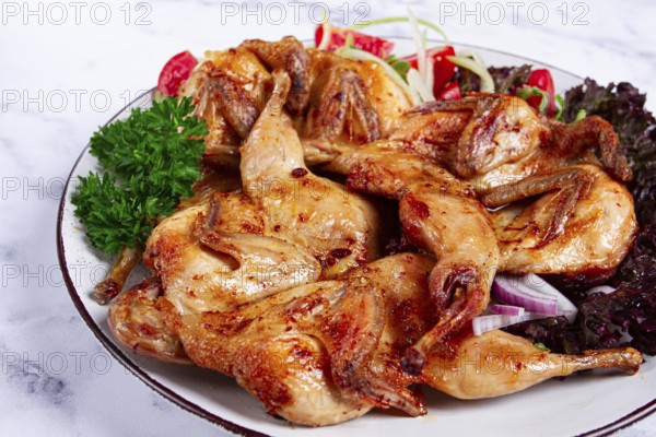 Baked quail, served on a plate with crispy lettuce leaves, fresh tomatoes and herbs, on a white