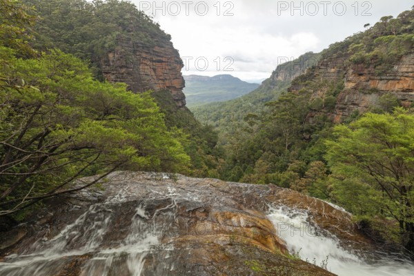 Leura Falls in a lush valley full of ferns and vegetation, Blue Mountains, New South Wales,