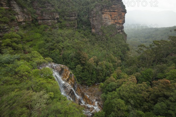 Leura Falls from above, in a lush valley full of ferns and vegetation, Blue Mountains, New South