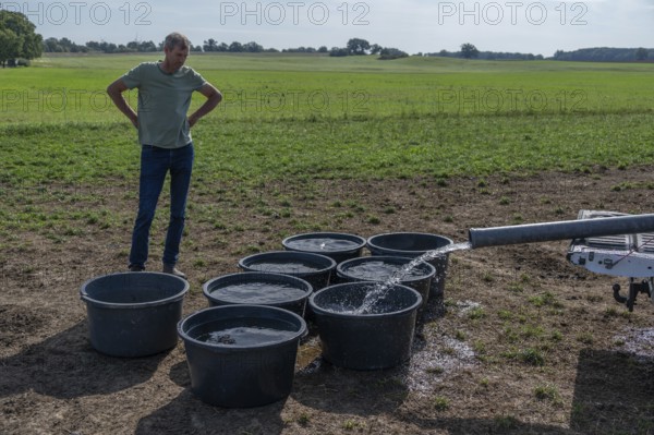 Shepherd fills water tubs from a pickup truck for sheep in the pasture, Mecklenburg-Western