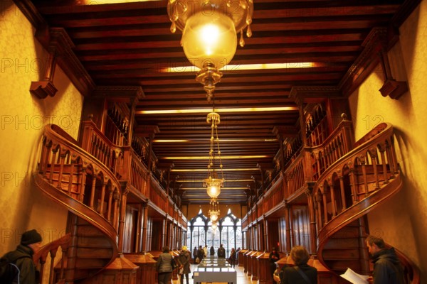 Palazzo Cavalli-Franchetti, cultural institution of the Istituto Veneto di Scienze, Lettere ed