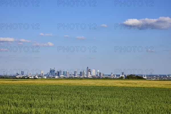 Cultural landscape, fields, agriculture, total views, skyline, view of Frankfurt am Main, haze,