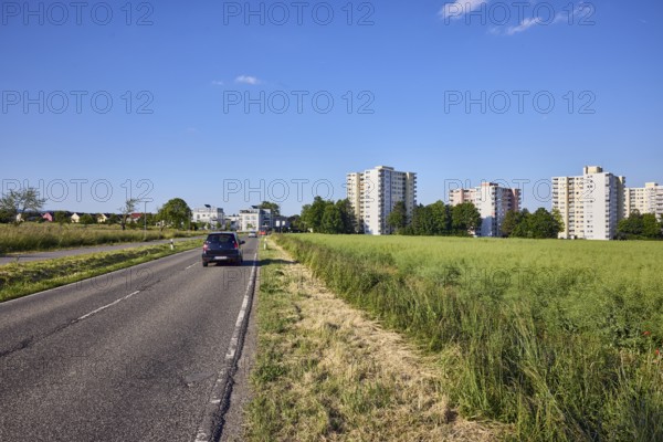 View of skyscrapers on NiederhöchstÃ¤dter StraÃŸe, fields, cultivated landscape, oilseed rape