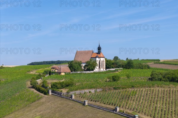 Pilgrimage church Maria im Weingarten, in the middle of green vineyards on a sunny day, near