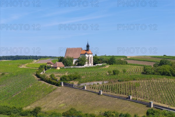 Pilgrimage church Maria im Weingarten, surrounded by vineyards under a clear blue sky, aerial view,