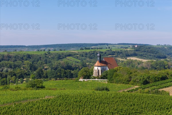 Pilgrimage church Maria im Weingarten, with vineyards in the foreground and hills in the