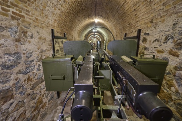 Two cannons displayed in a stone vault of a museum, machine gun, anti-aircraft gun, twin socketed
