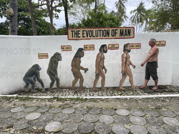 Evolution of anatomically modern man (Homo sapiens), parody, satire, funny, humour, evolution