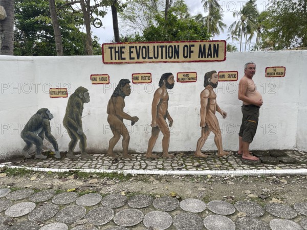 Evolution of anatomically modern man (Homo sapiens), parody, satire, funny, humour, big belly,