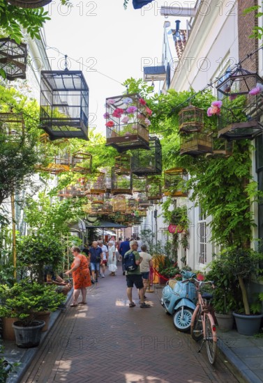 Middelburg, Zeeland, Netherlands - Reigerstraat. The small alleyway in the old town centre, here
