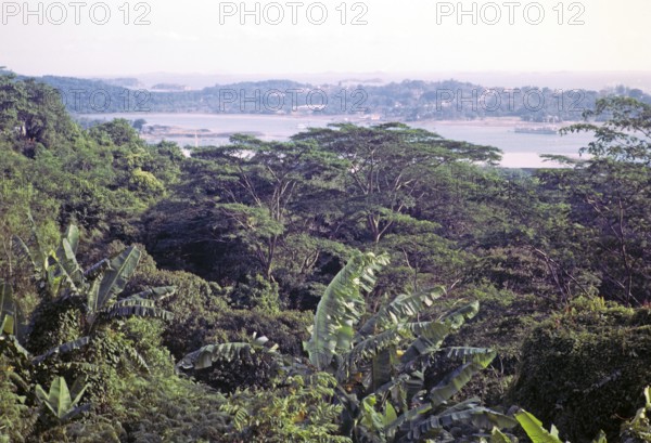 View over tropical rainforest trees to Sentosa island from from Mount Faber, Singapore, southeast