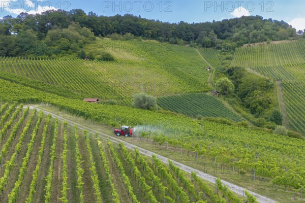 Hilly green vineyards with a tractor on a path, surrounded by nature and plants, aerial view,