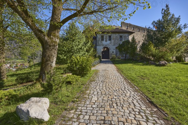 Castle Gruttenstein, footpath, cobblestones, entrance, trees, lawn, blue sky, cloudless,