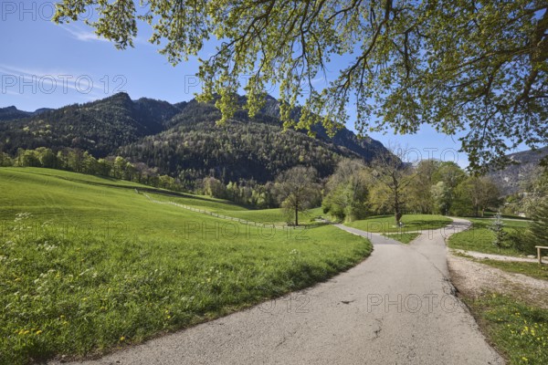 Landscape photography, landscape, mountain landscape, mountains, forest, cultural landscape,