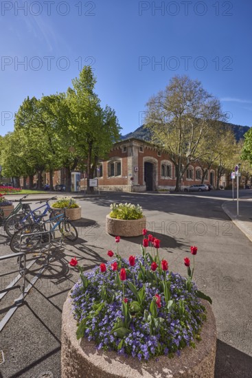 Historic buildings, bicycle stand, bicycle, flower pots, trees, backlight, blue sky, cloudless,