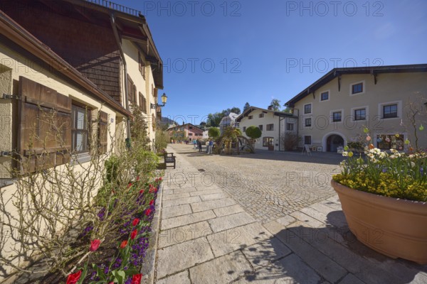 Historic buildings, houses, facade, window, window shutter, flower bed, square, paving stones,