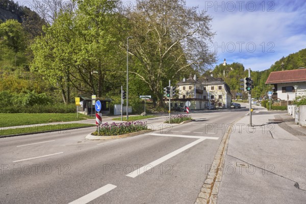 Pedestrian crossing, traffic lights, traffic island, lantern, multi-family houses, trees, flower