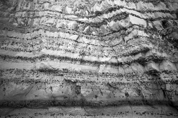 Cliff, cliffs, coastal landscape, rock formation, geological structures, black and white, Yport,