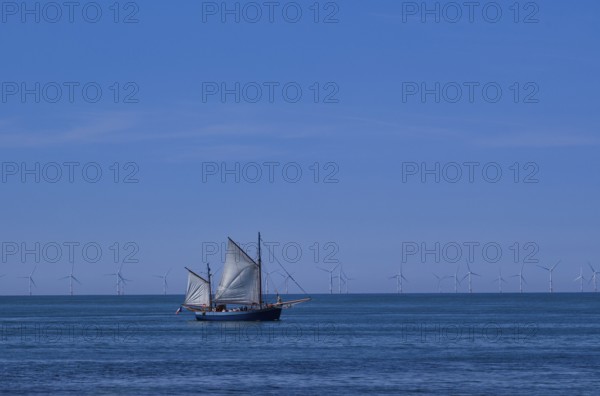 Tourist boat, sailing boat, sailing on sea, sky, blue, behind offshore wind farm, wind turbines,