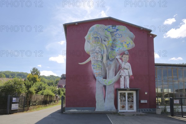 Mural The Elephant by CASE 2013, street art, graffiti, mural, elephant figure, child, boy, front