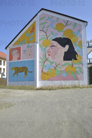 Mural The Revival by Alin Mor 2022, street art, graffiti, mural, house facade, revival, revive,