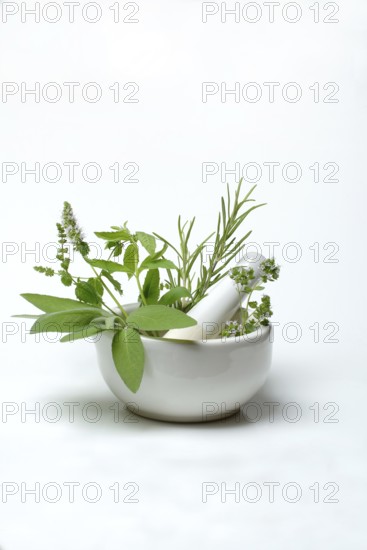 Herbs in grating bowl, kitchen herbs