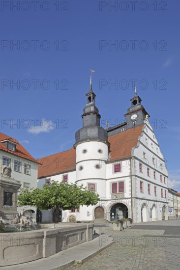 Renaissance Town Hall with Duke George Fountain, Market Square, Hildburghausen, Franconia,