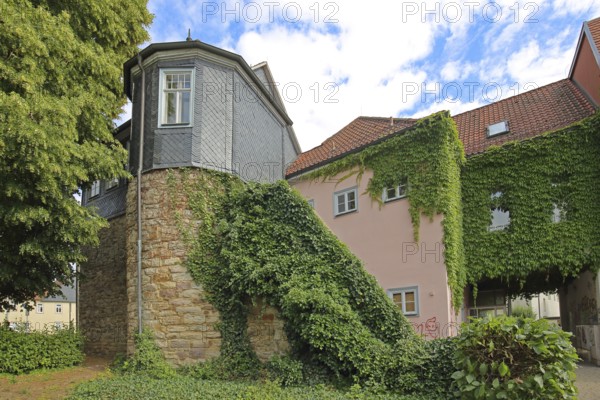 Rest of the historic town wall, ivy, plant growth, slate wall, Untere Allee, Hildburghausen,
