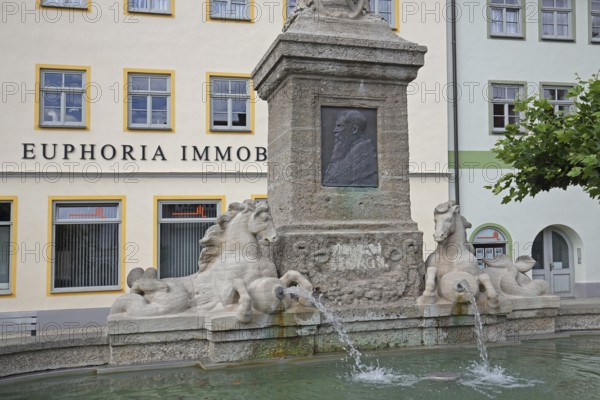 Duke George Fountain with relief of Duke George II of Saxe-Meiningen, monument, water basin, water