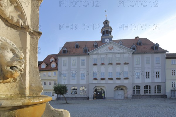 Baroque town hall built in 1711 and market fountain with lion figure, gargoyle, water jet, detail,