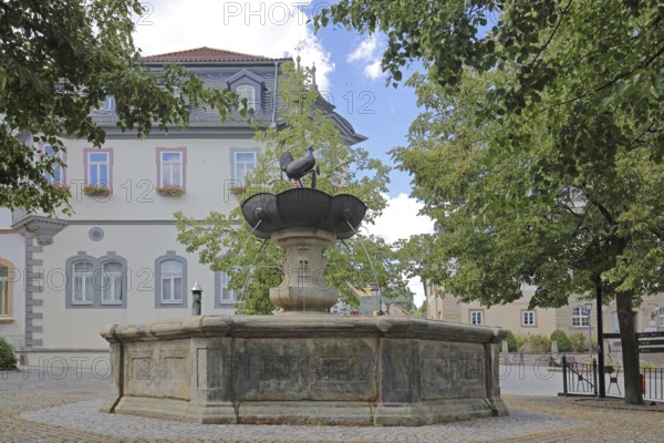 Hennebrunnen fountain with sculpture, bird figure, market square, town hall, Ilmenau, Thuringian