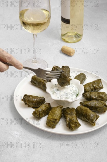 Dolma is served beautifully on a plate alongside a tangy yogurt dip, capturing the essence of home