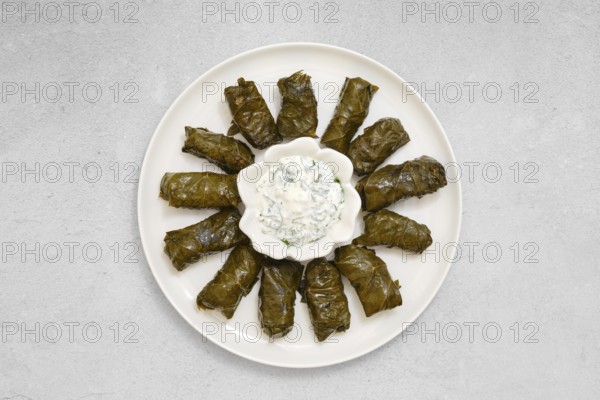 Freshly prepared dolma sits on a plate, featuring stuffed vine leaves neatly arranged. A bowl of