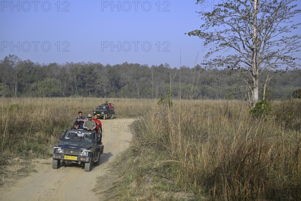 Safari vehicles, Gypsys, Corbett National Park, near Ramnagar, Uttarakhand State, India