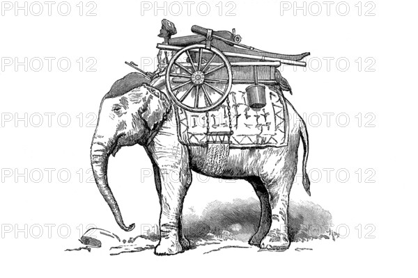 Gun elephant in Burma in 1870, Historical, digitally restored reproduction from a 19th century