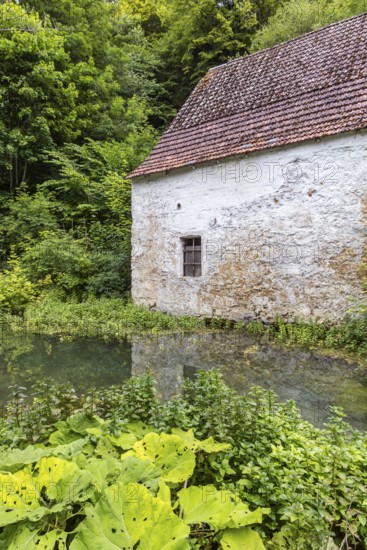 Old barn. The building is located near the source of the Zwiefalter Ach river at the Wimsen Cave