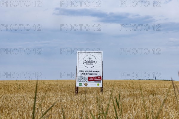 Barley field near Zwiefalten in the Swabian Alb. Growing area for the malting barley of the