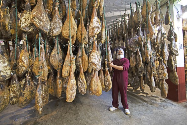 Iberico ham warehouse, Iberico ham factory in Villares de la Reina, province of Salamanca, Castile