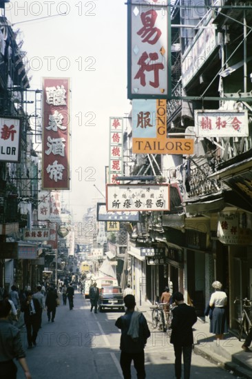 Busy street of shops and signs in English and Mandarin including for Tai Cheong Tailors, Wellington