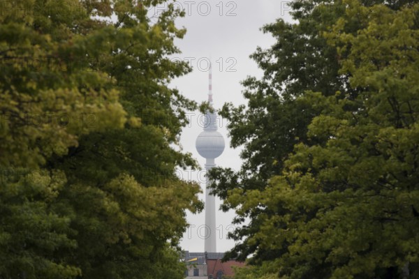 Berlin television tower with cloud-covered top between trees in the government district in Berlin,